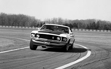 Boss 302 model mustang 1969 curio blend