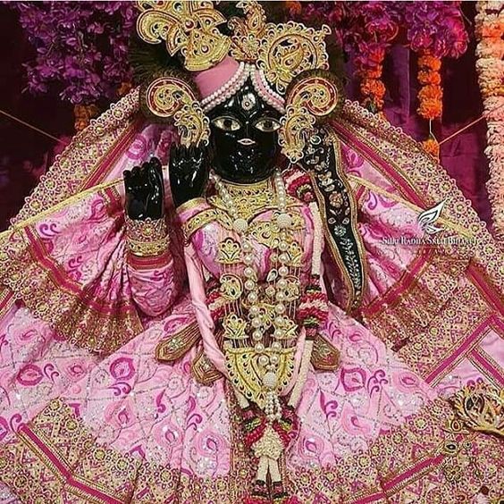 Shree Banke Bihari jii curio blend