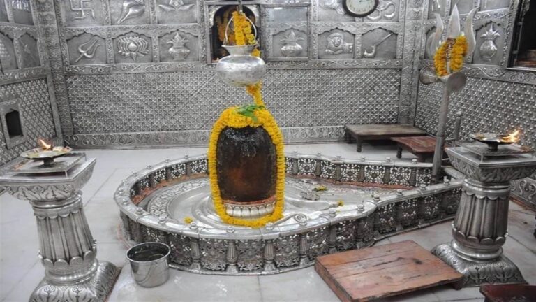 curioblend mahakal