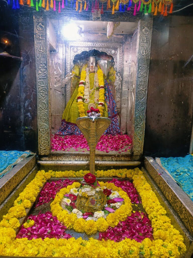 omkareshwar Curio Blend