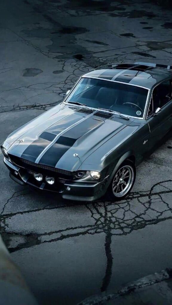 Shelby GT350 mustang 1969 model curio blend